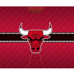 Chicago Bulls FC