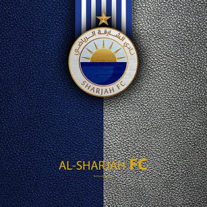 Al-Sareeh FC